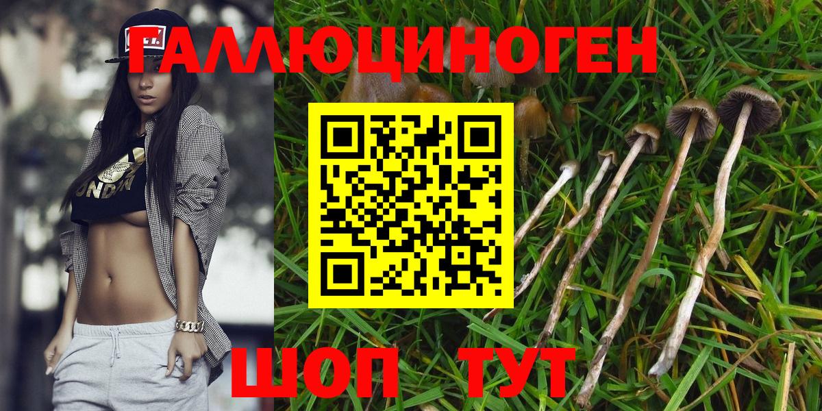 Псилоцибиновые грибы GOLDEN TEACHER  Вход с VPN  Набережные Челны 